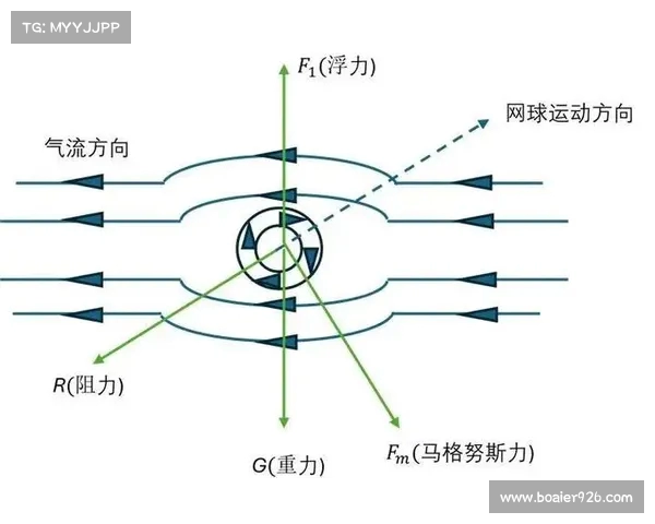 网球比赛用具全解析：从球拍到球场设施的全面指南